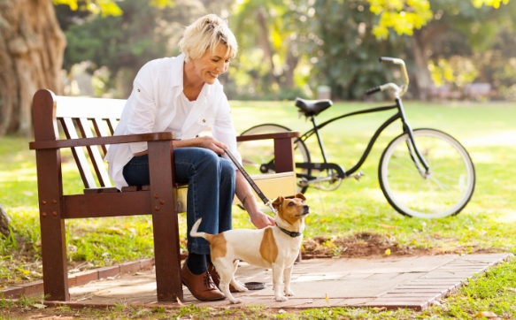 Dog Park Furniture